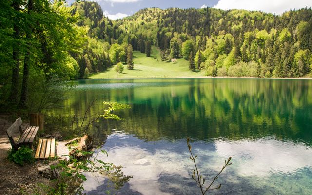 Bank am Alatsee bei Füssen im Allgäu