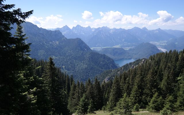 Panoramablick