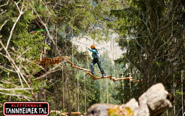 Frau beim Klettern im Kletterwald Tannheimer Tal